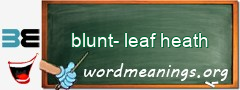 WordMeaning blackboard for blunt-leaf heath